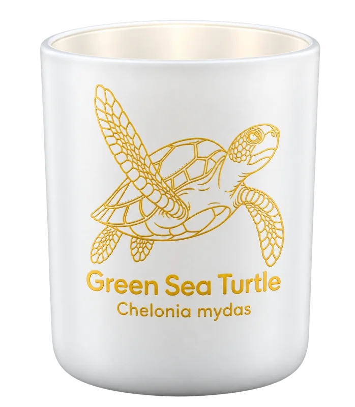 Green Sea Turtle