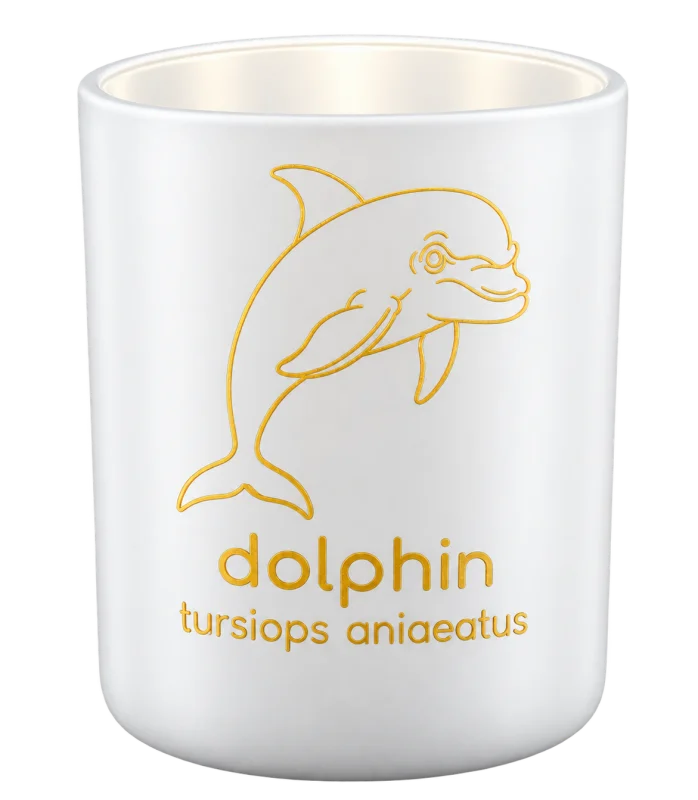Bottlenose Dolphin