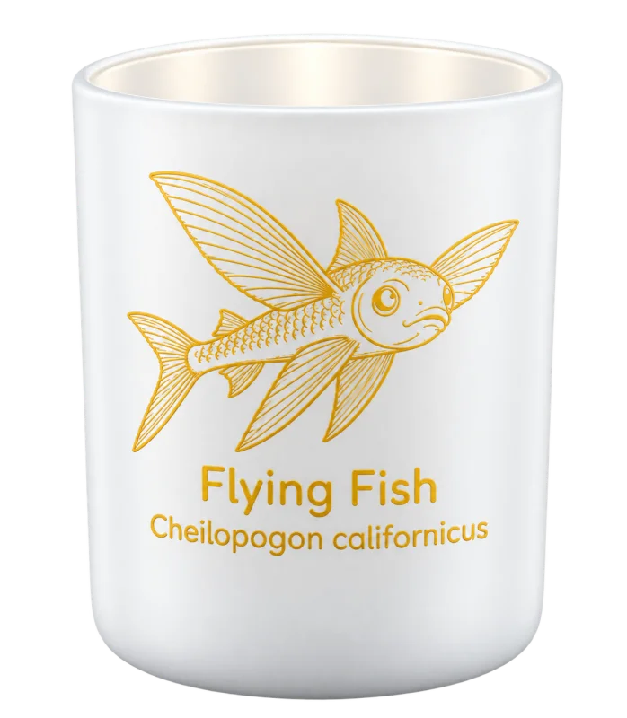 California Flying Fish