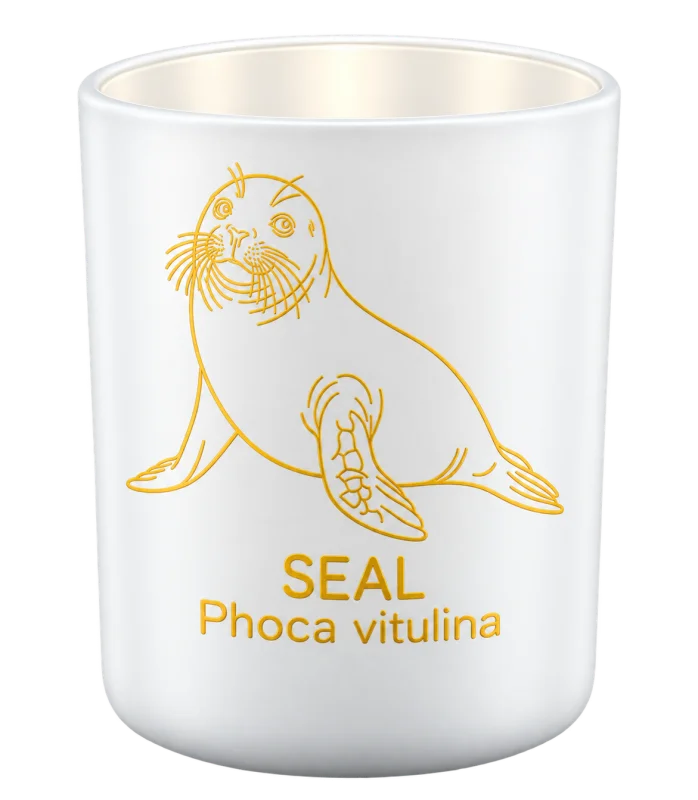 Pacific Harbor Seal
