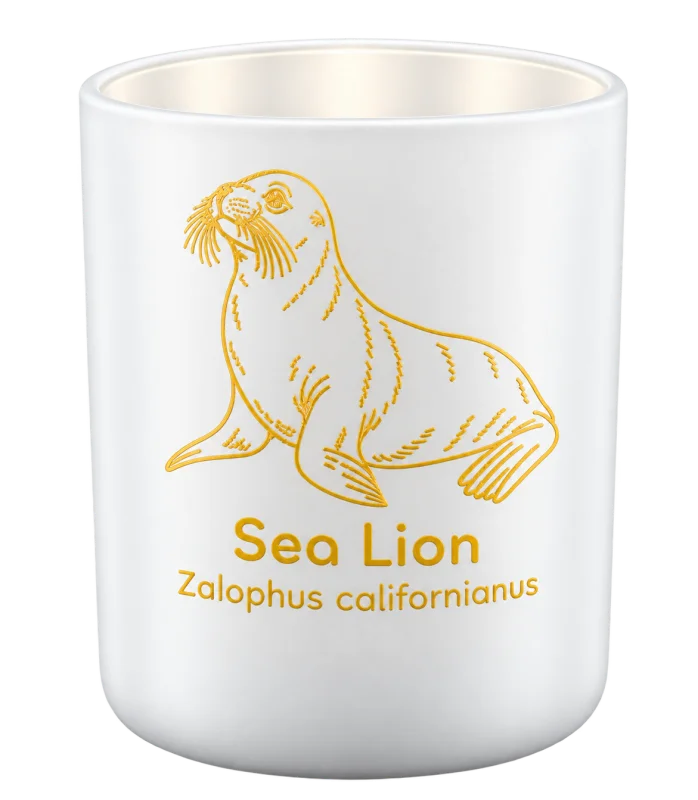 California Sea Lion