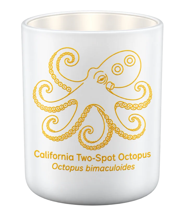 California Two-Spot Octopus