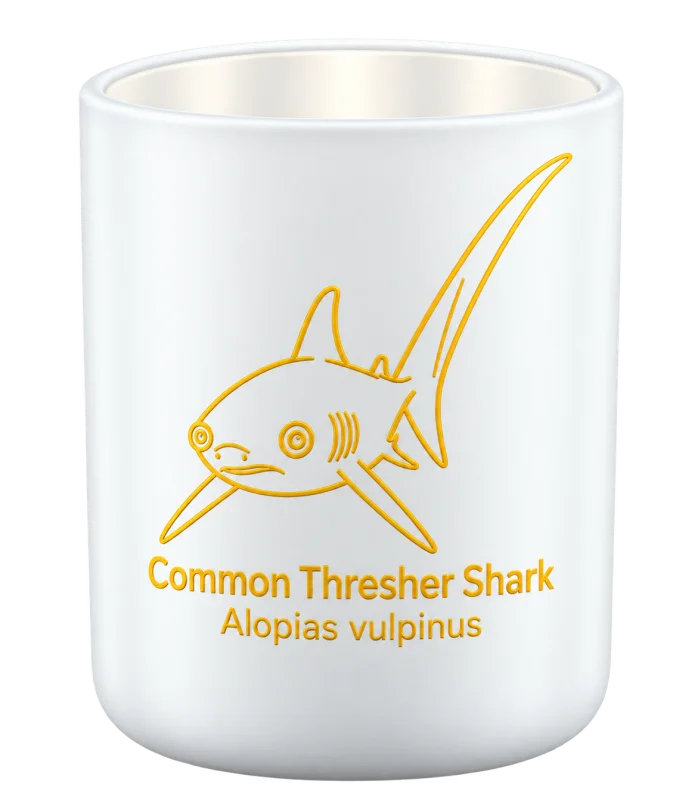 Common Thresher Shark