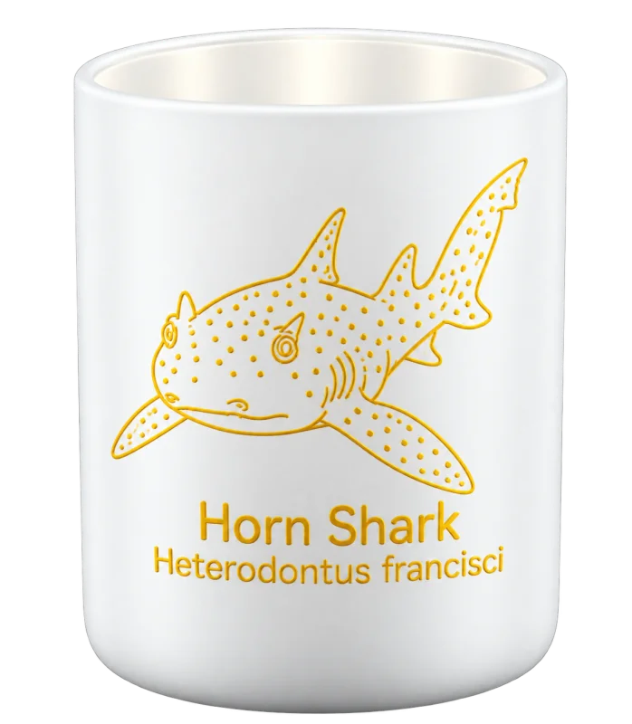 Horn Shark