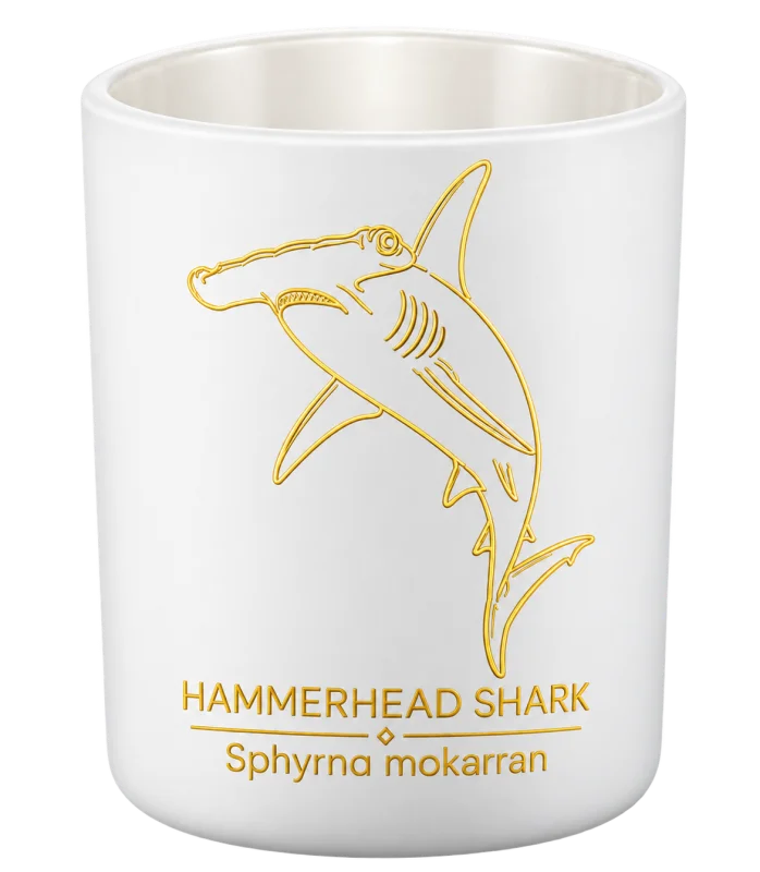 Hammerhead Shark